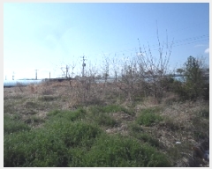  2025Ÿ10288 泲 о ϳ 긮 142-3      ()