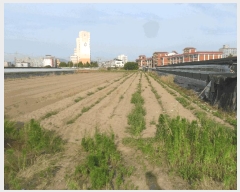  2025Ÿ��10294 �泲 â�籺 ������ ���긮 906-17      ����(��)���