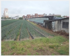  2025Ÿ��10294 �泲 â�籺 ������ ���긮 906-17      ����(��)���