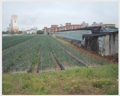  2025Ÿ��10294 �泲 â�籺 ������ ���긮 906-17      ����(��)���