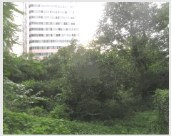  2025Ÿ10314 泲 о  444-5       ()