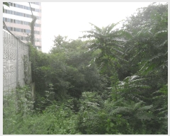  2025Ÿ10314 泲 о  444-5       ()