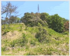  2025Ÿ10317 泲 â籺  ׻縮 63-16      (Ӿ)