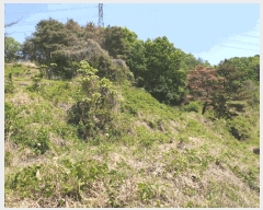  2025Ÿ10317 泲 â籺  ׻縮 63-16      (Ӿ)