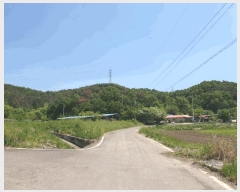  2025Ÿ10317 泲 â籺  ׻縮 63-16      (Ӿ)