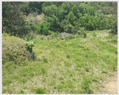  2025Ÿ10317 泲 â籺  ׻縮 63-16      (Ӿ)