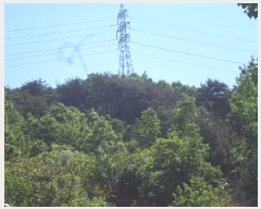  2025Ÿ10317 泲 â籺  ׻縮 63-16      (Ӿ)