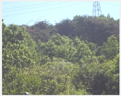  2025Ÿ10317 泲 â籺  ׻縮 63-16      (Ӿ)