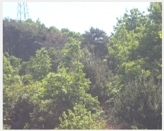  2025Ÿ10317 泲 â籺  ׻縮 63-16      (Ӿ)