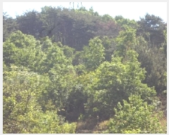  2025Ÿ10317 泲 â籺  ׻縮 63-16      (Ӿ)