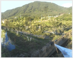  2025Ÿ10320 泲 â籺  縮 367-1      ()