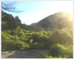  2025Ÿ10320 泲 â籺  縮 367-1      ()