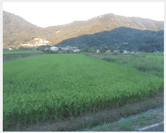  2025Ÿ10320 泲 â籺  縮 367-1      ()