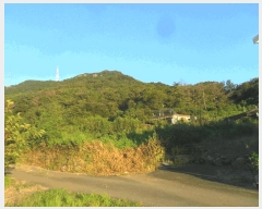  2025Ÿ10320 泲 â籺  縮 367-1      ()