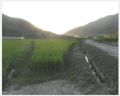  2025Ÿ10320 泲 â籺  縮 367-1      ()