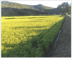  2025Ÿ10320 泲 â籺  縮 367-1      ()