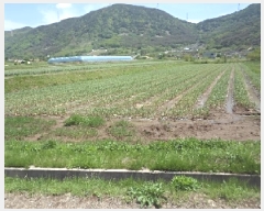  2025Ÿ10320 泲 â籺  縮 367-1      ()