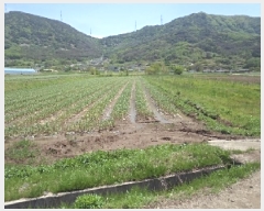  2025Ÿ10320 泲 â籺  縮 367-1      ()