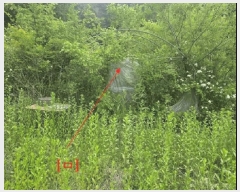  2025Ÿ��10329  �����