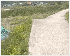  2025Ÿ��10334 �泲 �о�� ������� ������ 228-3      ����(��)���