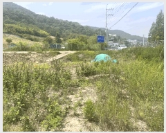  2025Ÿ��10334 �泲 �о�� ������� ������ 228-3      ����(��)���