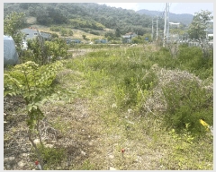  2025Ÿ��10334 �泲 �о�� ������� ������ 228-3      ����(��)���