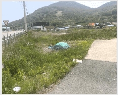  2025Ÿ��10334 �泲 �о�� ������� ������ 228-3      ����(��)���