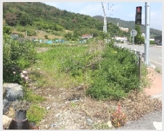  2025Ÿ��10334 �泲 �о�� ������� ������ 228-3      ����(��)���