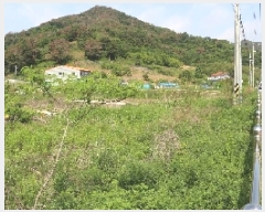  2025Ÿ��10334 �泲 �о�� ������� ������ 228-3      ����(��)���