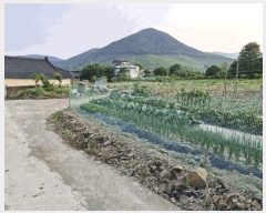  2025Ÿ10338 泲 о û λ긮 971-3      ()