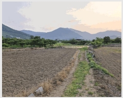  2025Ÿ10338 泲 о û λ긮 971-3      ()