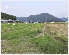  2025Ÿ10338 泲 о û λ긮 971-3      ()