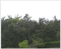  2025Ÿ��10362 �泲 �о�� ������� ������ ��62-2      ����(�Ӿ�)���