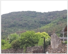  2025Ÿ��10362 �泲 �о�� ������� ������ ��62-2      ����(�Ӿ�)���