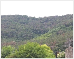  2025Ÿ��10362 �泲 �о�� ������� ������ ��62-2      ����(�Ӿ�)���