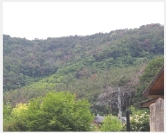  2025Ÿ��10362 �泲 �о�� ������� ������ ��62-2      ����(�Ӿ�)���