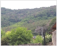  2025Ÿ��10362 �泲 �о�� ������� ������ ��62-2      ����(�Ӿ�)���