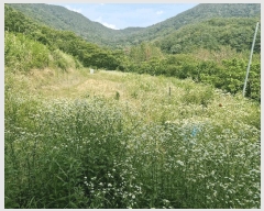  2025Ÿ��10380  ����