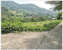  2025Ÿ��10380  ����