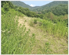  2025Ÿ��10380  ����