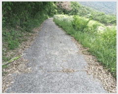  2025Ÿ��10380  ����