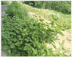  2025Ÿ��10380  ����