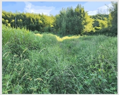  2025Ÿ��10382 �泲 â�籺 �̹�� ���긮 14      ����(��1)���