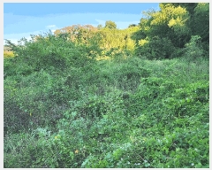  2025Ÿ��10382 �泲 â�籺 �̹�� ���긮 14      ����(��1)���