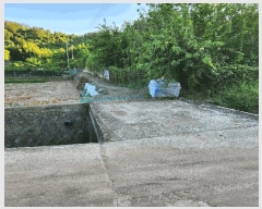  2025Ÿ��10382 �泲 â�籺 �̹�� ���긮 14      ����(��1)���