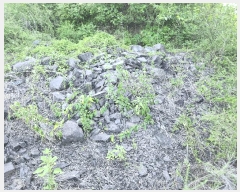  2025Ÿ��10382 �泲 â�籺 �̹�� ���긮 14      ����(��1)���