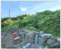  2025Ÿ��10382 �泲 â�籺 �̹�� ���긮 14      ����(��1)���