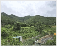  2025Ÿ10389 泲 â籺 ϸ  143-6      (Ӿ)