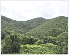  2025Ÿ10389 泲 â籺 ϸ  143-6      (Ӿ)