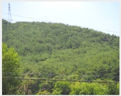  2025Ÿ10389 泲 â籺 ϸ  143-6      (Ӿ)